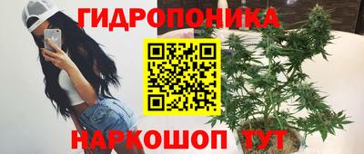 трава Краснодар