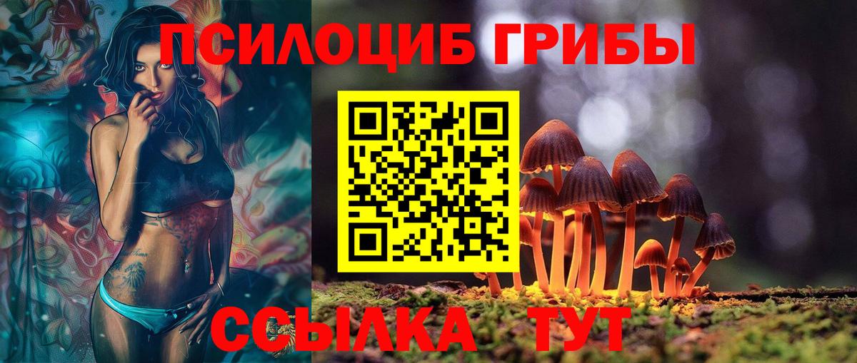 Галлюциногенные грибы Cubensis Озёры