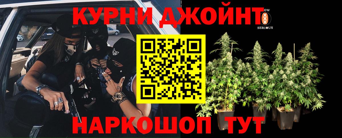 Шишки марихуана сатива  МАРИХУАНА планчик  Озёры  Вход с VPN  Каннабис ГИДРОПОН 